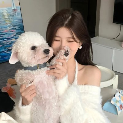 酷狗上学记