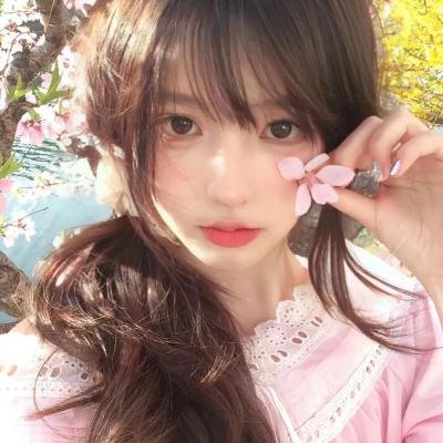石纪元第二季